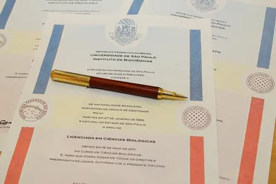 Tradução de Diploma Brasileiro para Uso nos Estados Unidos